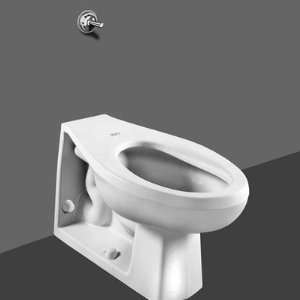  American Standard 25 Neolo 1.6 GPF Elongated Toilet