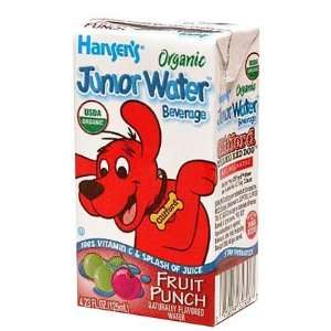   Organic Junior Water Fruit Punch, 4.23 oz Boxes, 44 ct (Quantity of 2