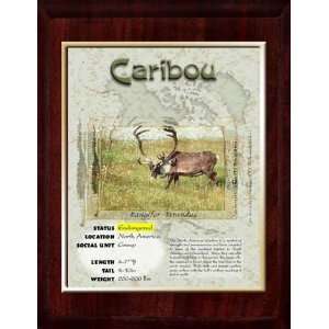 North America (Caribou) Animal Planet Products 10 x 13 Plaque with 8 