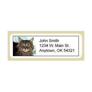  Maine Coon Cat Address Labels