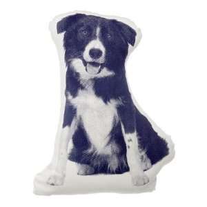  Border Collie Small Pillow