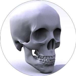  Human Skull Art   Fridge Magnet   Fibreglass reinforced plastic 
