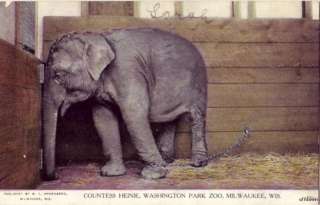 ELEPHANT COUNTESS HEINIE WASHINGTON PARK MILWAUKEE 1909  