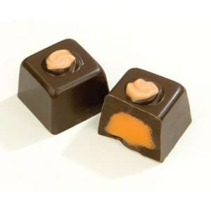 Dark Chocolate Mango Puree 6LB  Grocery & Gourmet Food