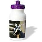 3dRose LLC Farm Animals   Goat   Water Bottles