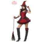 RG Costumes RG Costumes 91416 M Glitter Spider Witch Costume