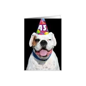  43rd Birthday Party Invitation Boxer Card Toys & Games