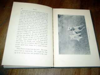 Polaris   The Story of Eskimo Dog by Ernest Baynes 1922 with photos 