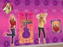  HANNAH MONTANA MURAL PARTY DECORATING wall Kit bedroom pictures  