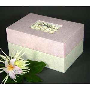   Biodegradable Cremation Urn with Insert 
