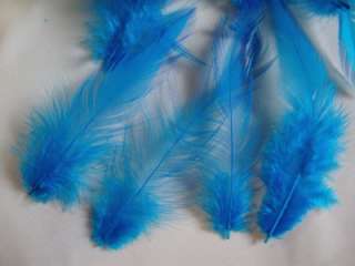 80+ LOOSE TURQUOISE ROOSTER SADDLE HACKLE FEATHERS 3 7  
