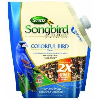 Scotts 1025106 Songbird Selections Colorful Bird Seed Blend, 8 Pound