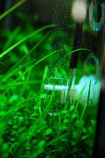 pcs x nano co2 diffuser for mini planted aquarium  