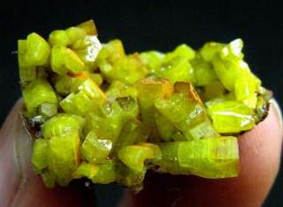PYROMORPHITE crystal cluster,mineral specimen BZ106  