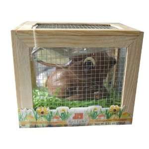 Belfine Milk Chocolate Easter Springtime Rabbit in a Box 8.82 Ounce 