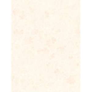  Wallpaper York By the Sea Sand Dollar texture AC6082