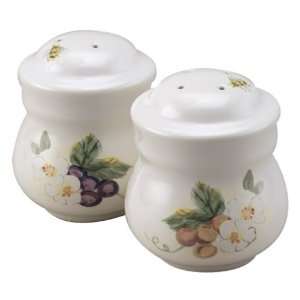 Pfaltzgraff Orchard Salt Shaker (Single Piece Only for Replacement 