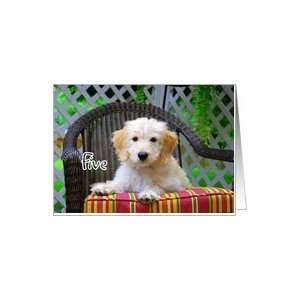    Happy Birthday to Five   Golden Doodle Puppy Card Toys & Games
