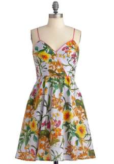 Aviary Occasion Dress   Mid length, Party, Multi, Floral, Spaghetti 