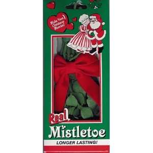  Real Mistletoe
