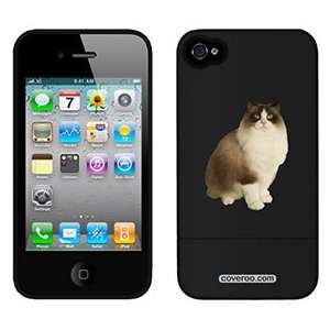  Ragdoll on Verizon iPhone 4 Case by Coveroo  Players 