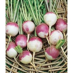  Turnip, Purple Top Wht Globe Organic 1 Pkt. Patio, Lawn 