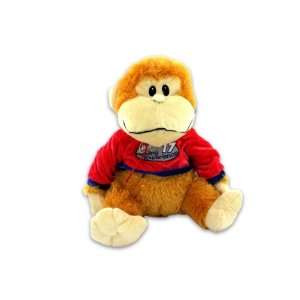  13 Inch Plush Monkey With Hoodie 