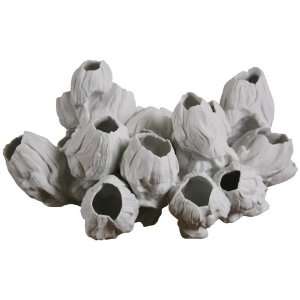  Large White Barnacle Sculpture With Realistic Rippled 