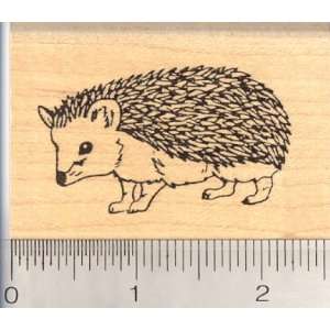  hedgehog rubber stamp Arts, Crafts & Sewing