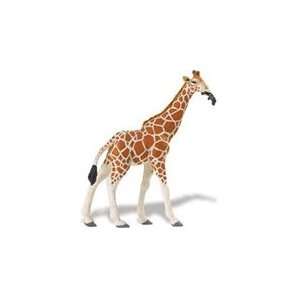  Wild Safari Wildlife Reticulated Giraffe Toy Model Toys & Games