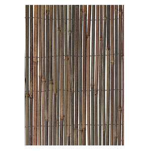 Bamboo Fence, 13 x 5  