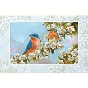   Bluebird Couple   Everyday Greeting Cards. Pack of 6 