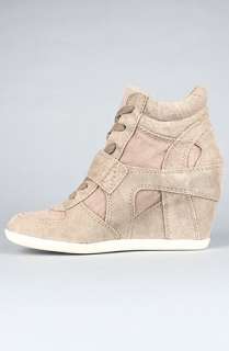 Ash Shoes The Bowie Sneaker in Stone Suede and Washed Canvas 