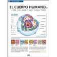 El Cuerpo Humano (2) von Collectif von Aedis ( Taschenbuch   1 