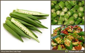Okra / Ladys finger / Bhindi /Kingombo Vegetable Seeds  