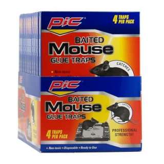 PIC Baited Mouse Glue Traps (48 Pack) GT 4 H  