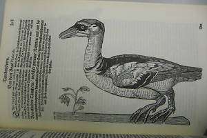 Gesner – Vogelbuch Illustriert Faksimile von 1669  