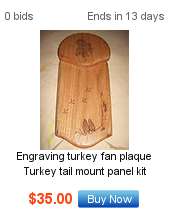 TURKEY TAIL MOUNT PANEL COLORED STRUTTING TOM W/STATE  