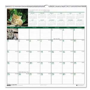  House of Doolittle  Kittens Monthly Wall Calendar, 12 x 