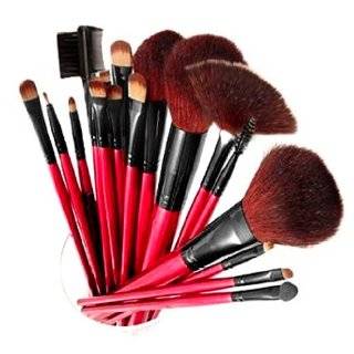 SHANY Professional 13 Piece Cosmetic Brush Set with Pouch, Set of 12 