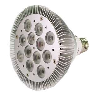  LED   850 Lumens   12 Watt  12 LED DIMMABLE PAR38 Bulb 70+ Watt 