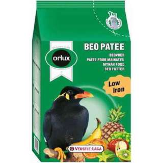 Bird, Pigeon, Canary, Parrot and exotic birds products