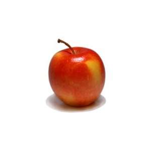 Pinata Apple Snack Pak  Grocery & Gourmet Food