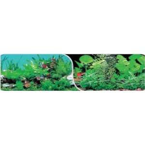  Nature Aquarium 2Side Bkgrd 20 Watergrass