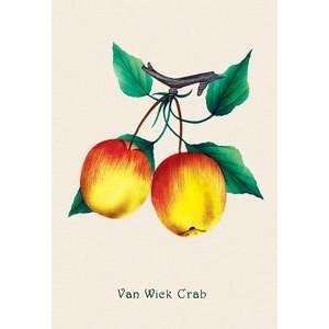  Vintage Art Van Wick Crab Apple   04158 7