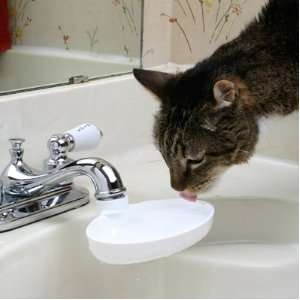  Sink Drink   Turns a Faucet Into a Fountain for Your Cat 