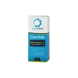  Advanced Candida Foundational Formula   8 oz Health 