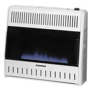 Pro Com® Dual Fuel Blue Flame Gas Space Heater With Thermostatic 
