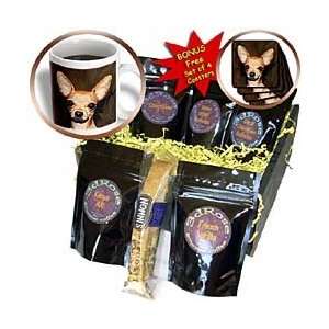 Dogs Chihuahua   Chihuahua Portrait   Coffee Gift Baskets   Coffee 