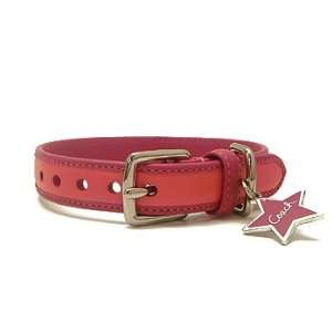  COACH Bonnie Leather Dog Collar with Engraveable Charm 